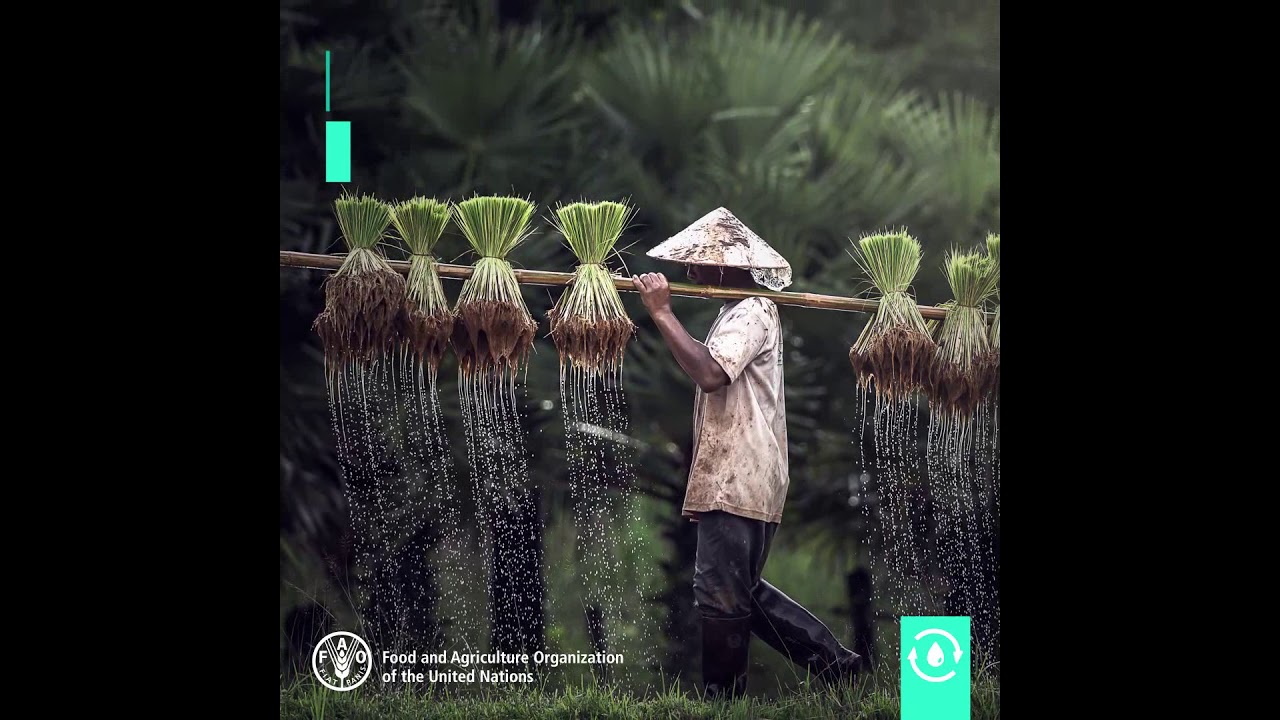 Wastewater is an untapped resource