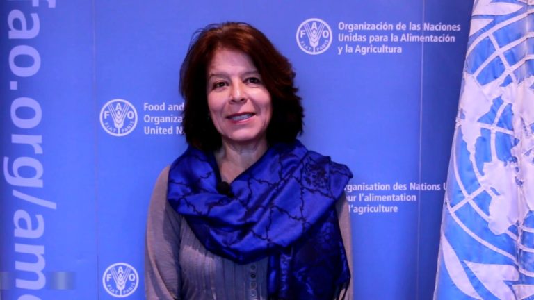 Entrevista con Hivy Ortiz – Representante a.i. de la FAO en Chile