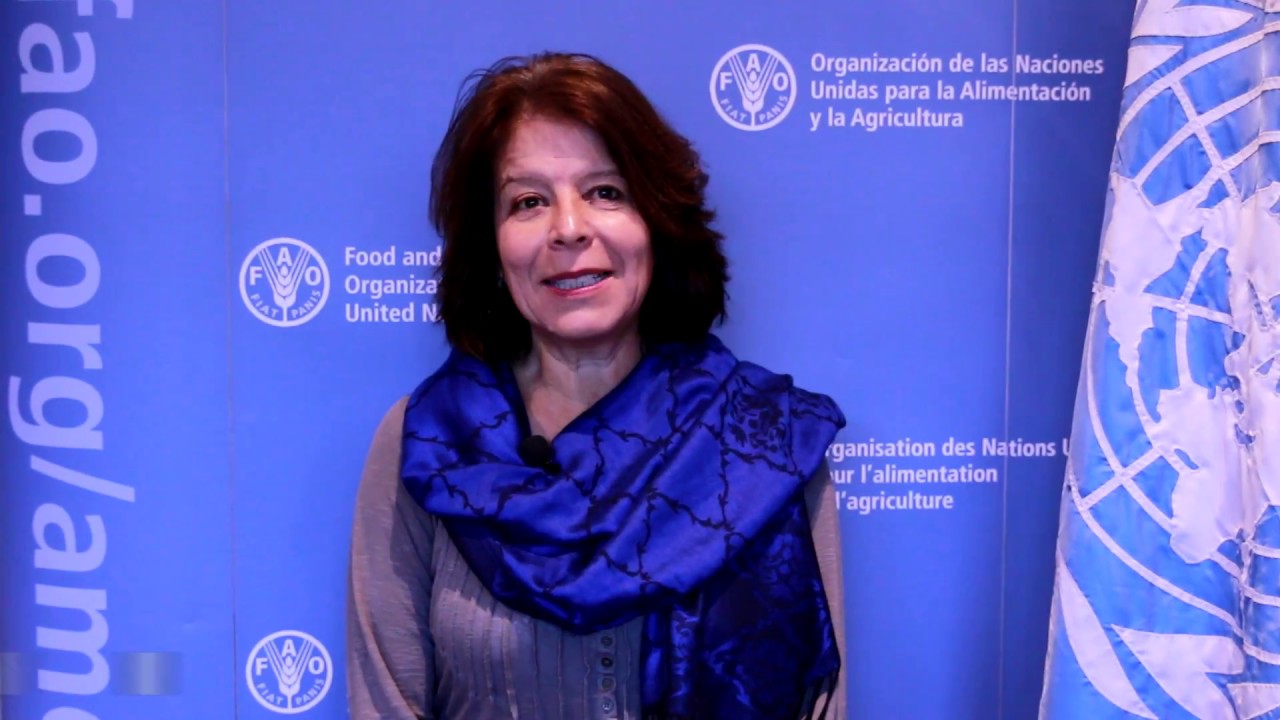 Entrevista con Hivy Ortiz – Representante a.i. de la FAO en Chile