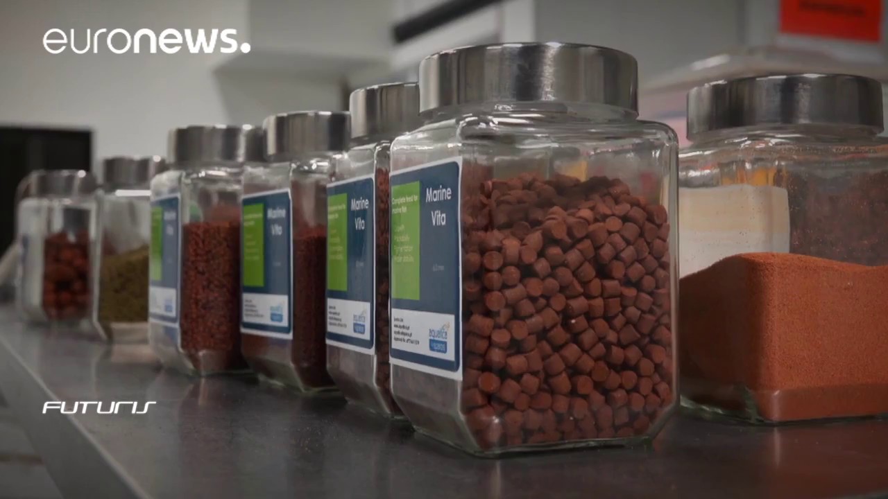 Green gold in our sea water – Futuris