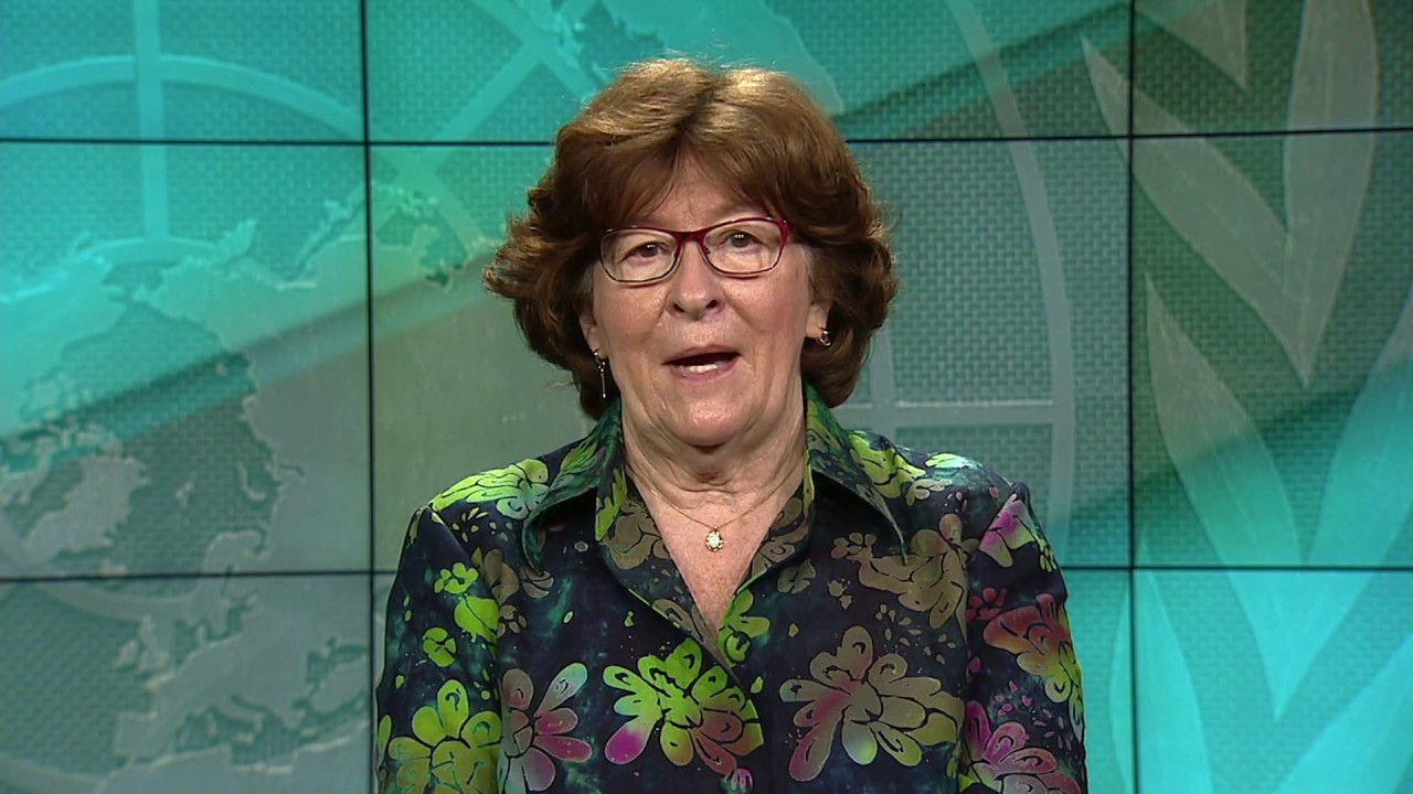 SRSG Louise Arbour on desertification and migration