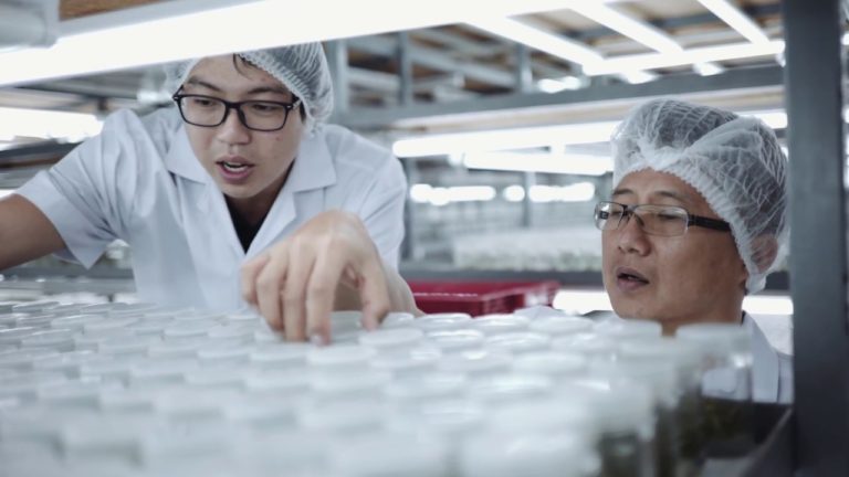 Biotechnology : Changing lives in Asia-Pacific | Siam Forestry Laborato…