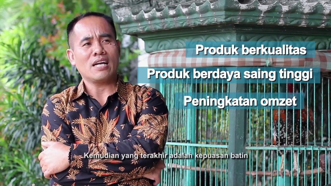 Testimony petugas dan pelaku usaha pemotongan unggas di RPHU milik peme…