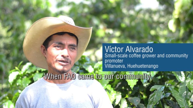 Coffee, entrepreneurship, and community-driven promotion: productive li…