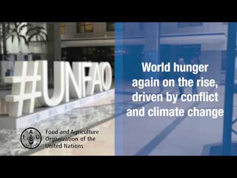 New UN report: World hunger again on the rise, driven by conflict and c…