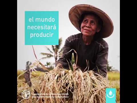 El acceso al agua potable segura es un derecho humano.