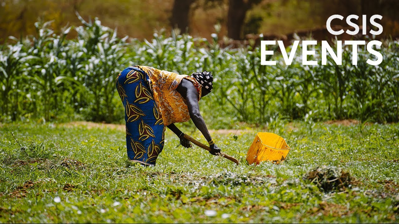 Agricultural Trade, Food Security, and the Forgotten Smallholder Farmer