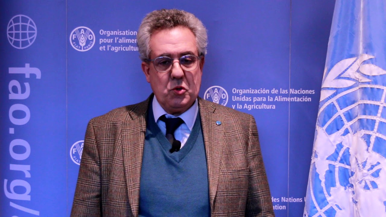Vicente Plata, Representante de FAO en Uruguay