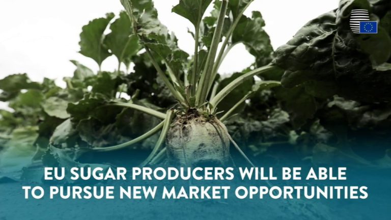 The EU is abolishing sugar quotas
