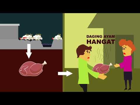 Infografis Pengolahan daging ayam dingin atau beku yang Aman, Sehat, Ut…