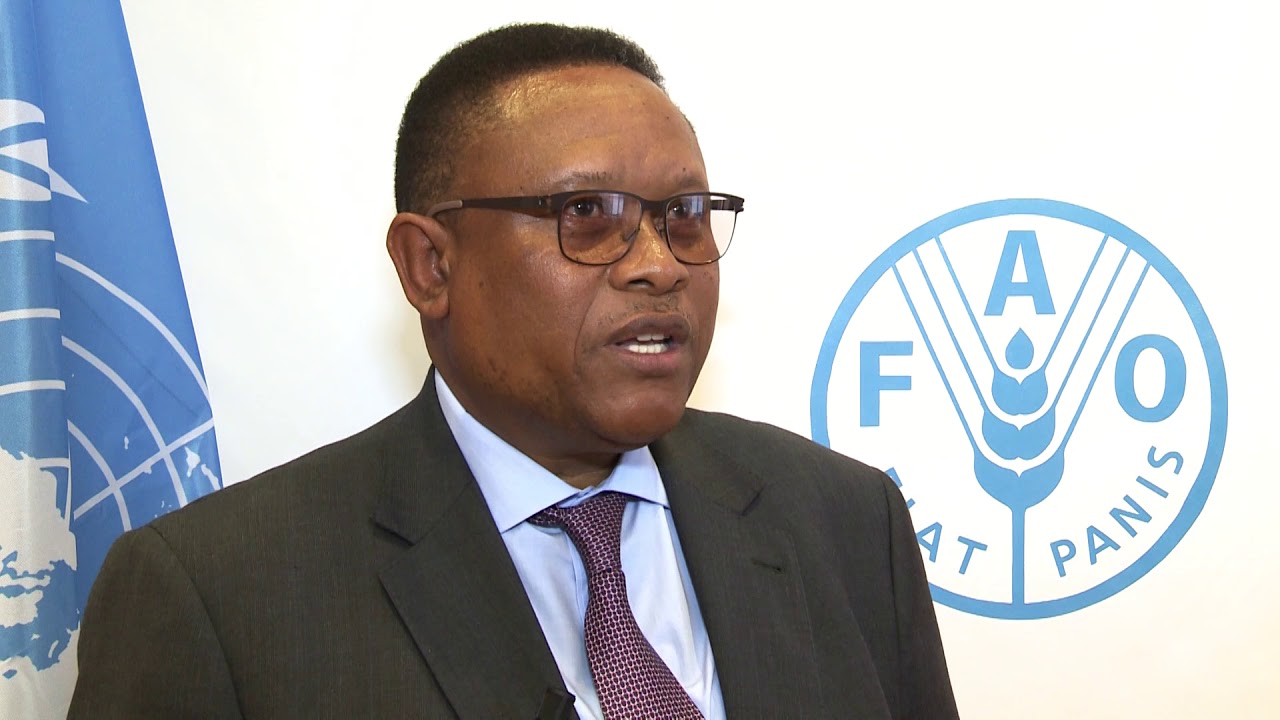 Namibia’s Minister for Fisheries at FAO