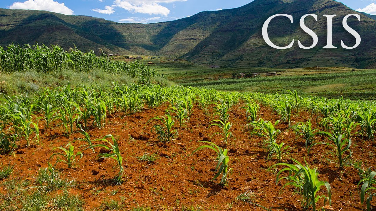 Careers in Global Development: Gregory Gottlieb