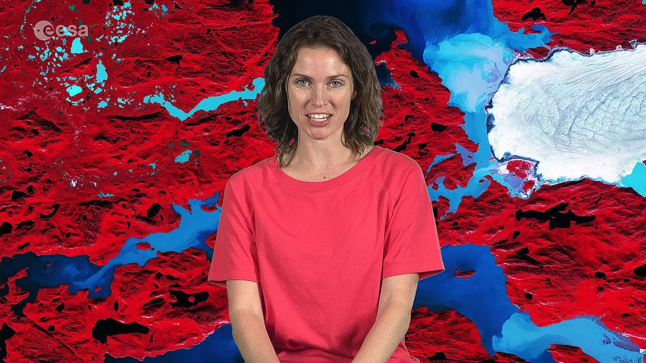 Earth from Space: Nordenskiold Glacier