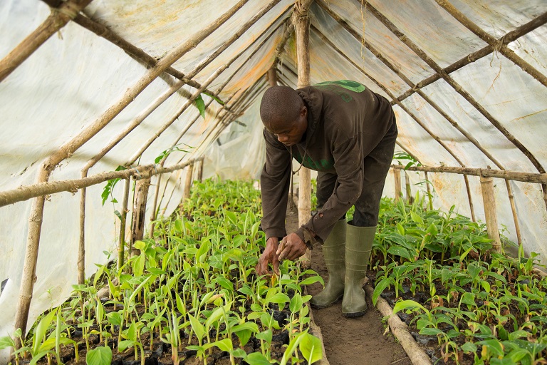 Index insurance is having a development impact where it’s needed most