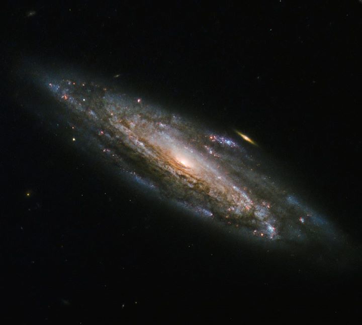 The majestic arms of spiral galaxy NGC 5559, seen here by the NASA/ESA Hubble Sp…