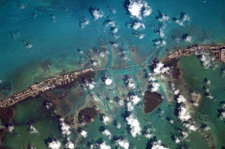 Il y a quelques années, j’ai eu la chance de participer au bien nommé stage NEEM…