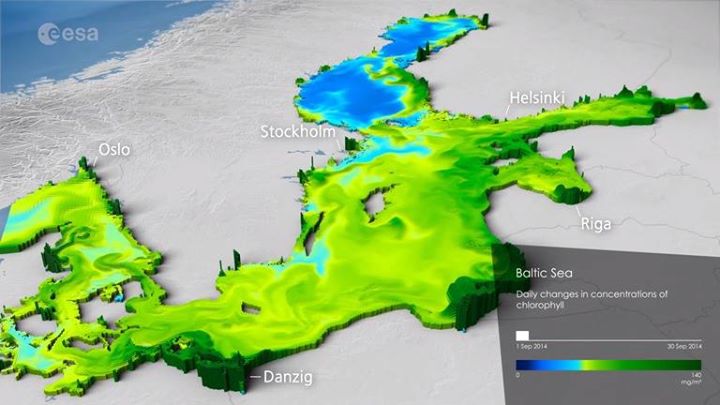As the EU’s Copernicus programme marks Marine Week, discover how satellites map …