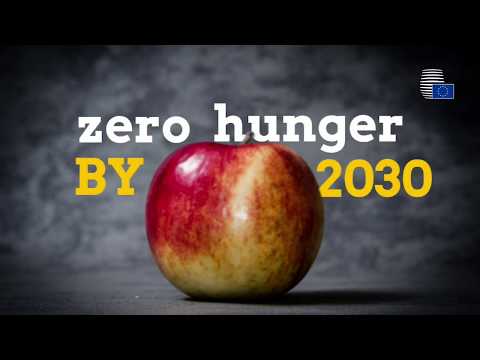 Food security within the EU