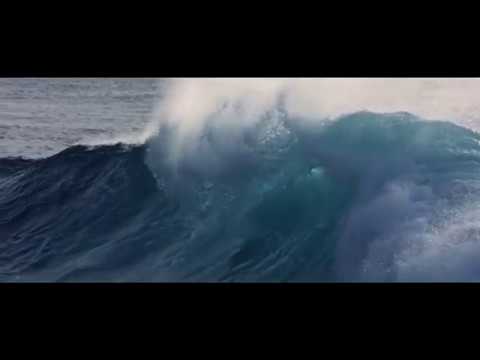 Global Alliance of Ocean champions, “Our Ocean, an Ocean for Life” conference