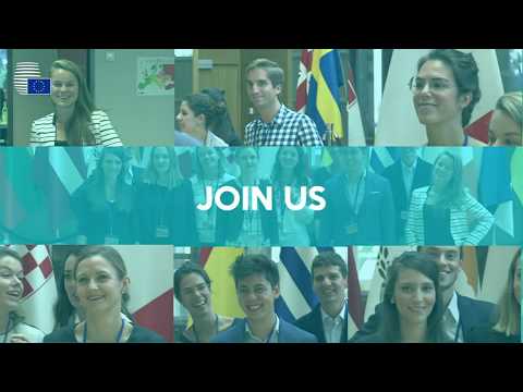 Traineeship at the Council