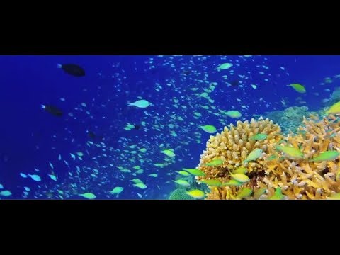 Zonas marinas protegidas, Segundo tema de la conferencia #OurOcean 2017