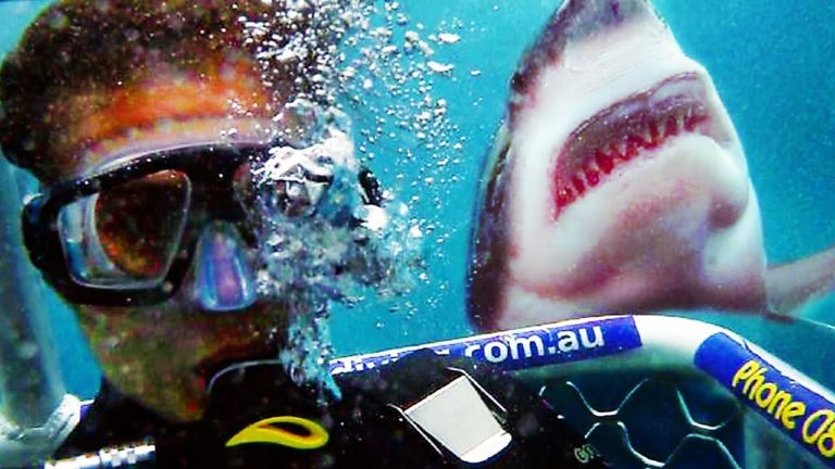 CАGЕ DІVЕ Trailer ✩ Shark Attack, Movie HD (2017)