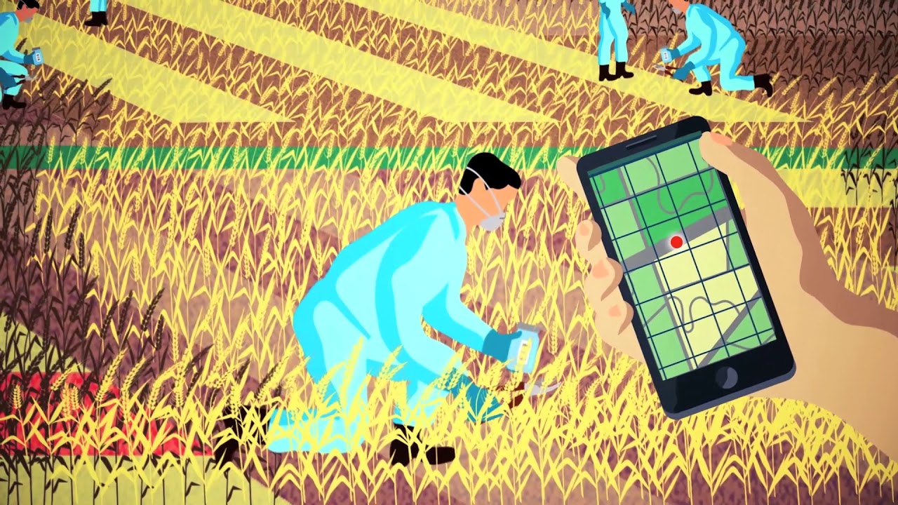 Decision Support System for Nuclear Emergencies Affecting Food and Agri…