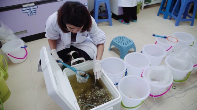 Biotechnology : Changing lives in Asia-Pacific | Coastal Aquaculture Re…