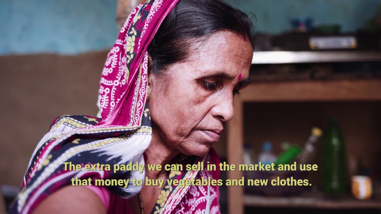 Biotechnology : Changing lives in Asia-Pacific | Central Rice Research …