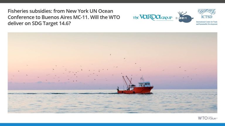 The Low Hanging Fish: From the New York UN Ocean Conference to Buenos Aires MC-11