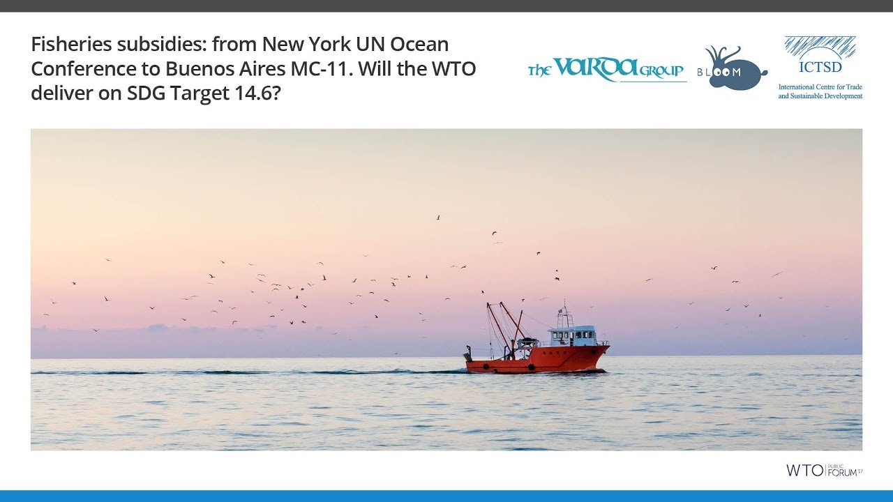 The Low Hanging Fish: From the New York UN Ocean Conference to Buenos Aires MC-11