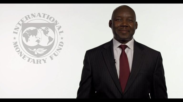 Why I Work For the IMF