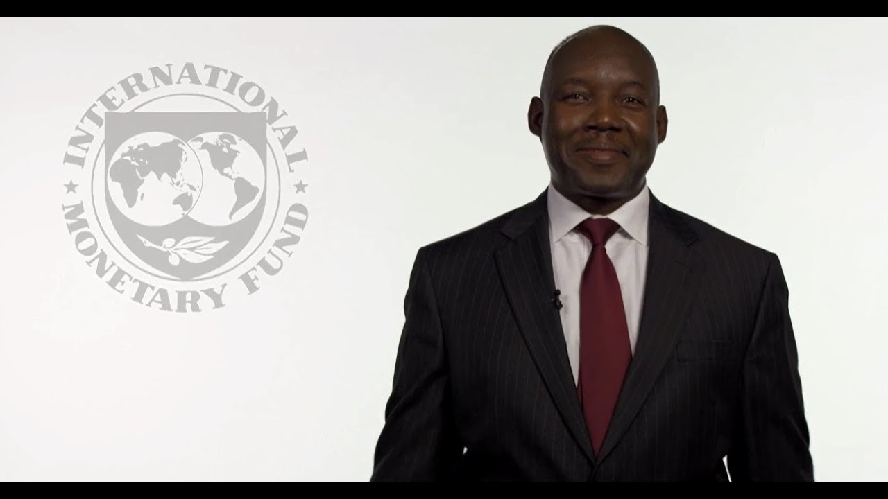 Why I Work For the IMF