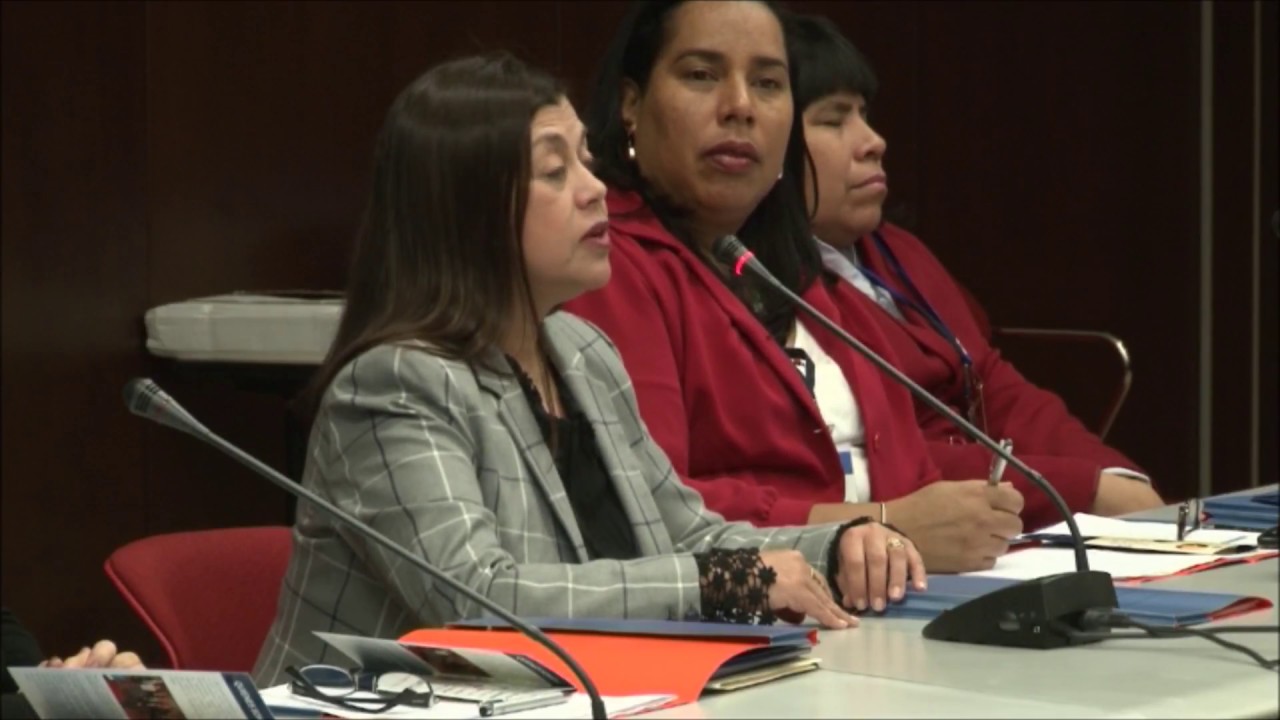 Enviada especial de la ONU sobre discapacidad y accesibilidad sobre el…