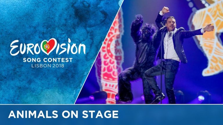 Animals on the Eurovision stage!