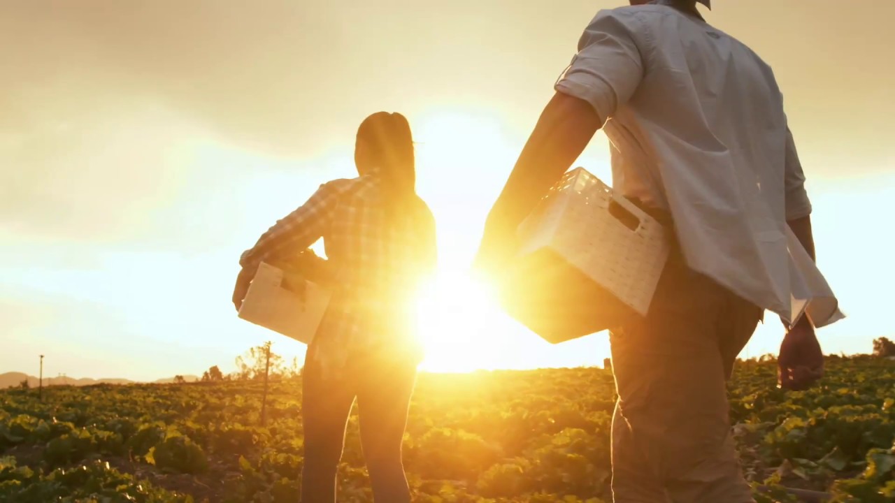 Workforce of the future: The importance of scenario planning