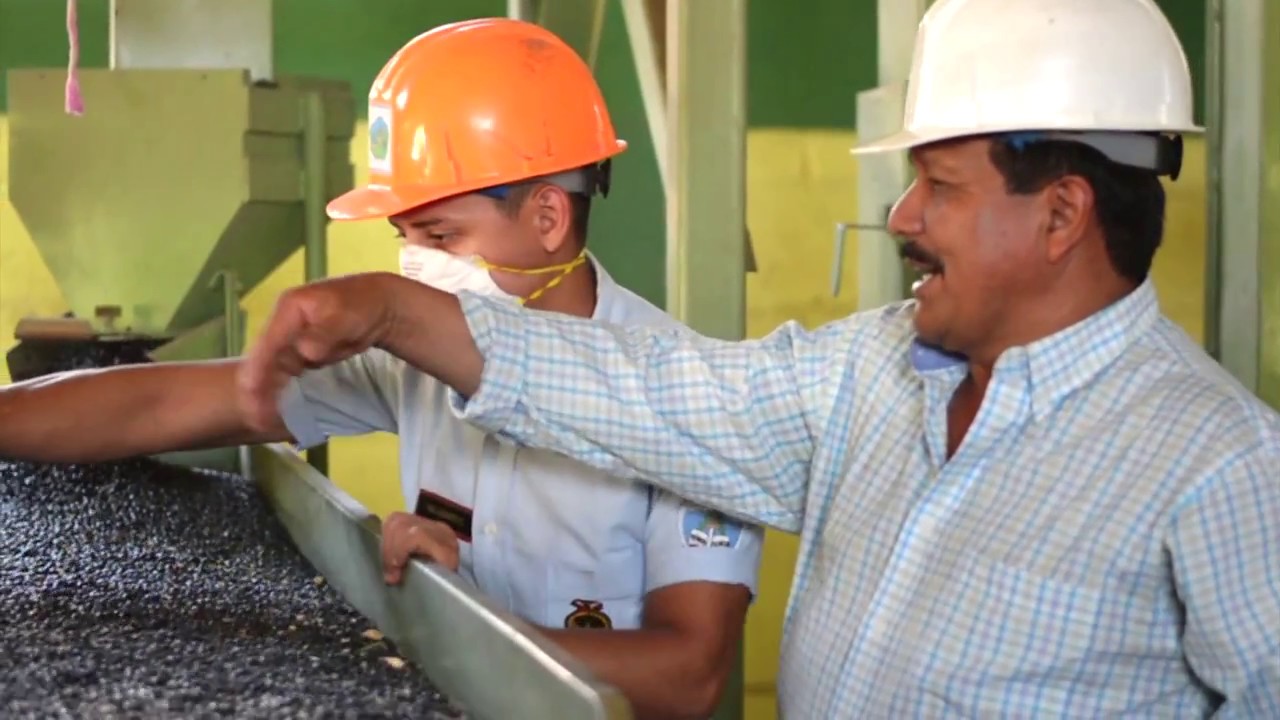 Innovando capacidades hacia un desarrollo sostenible