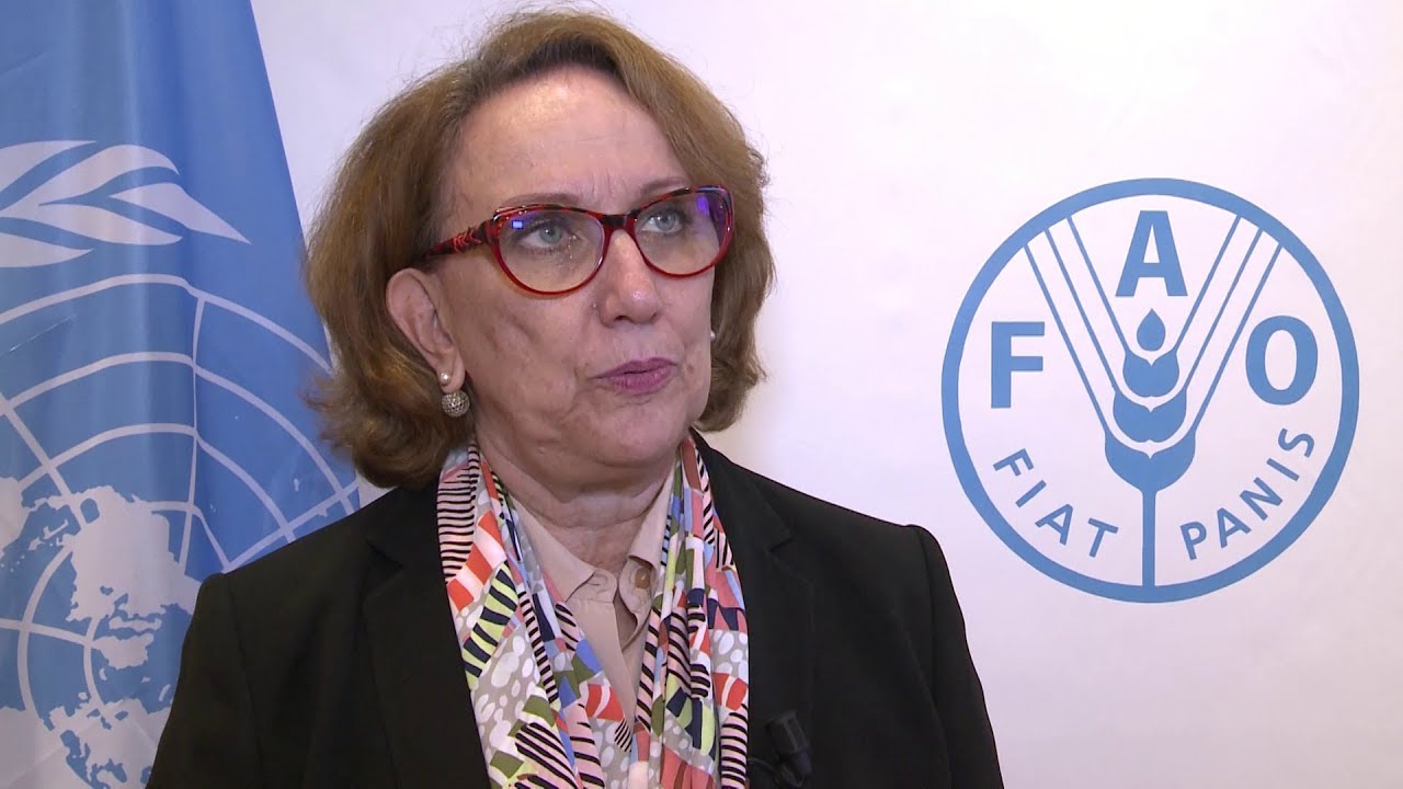 Declaraciones de la Secretaria General Iberoamericana, Rebeca Gryspan