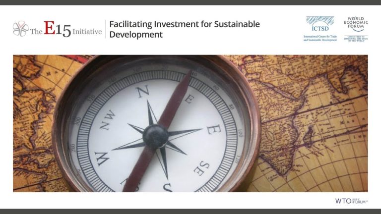 Facilitating Investment for Sustainable Development