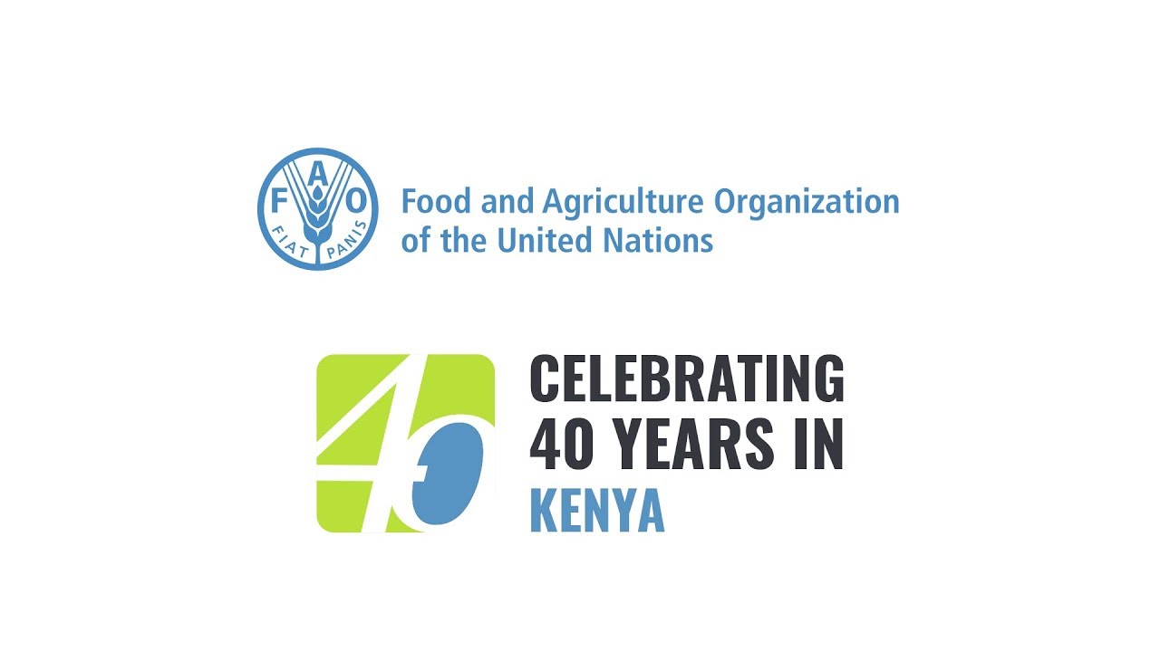 Past and Present: Celebrating 40 Years in Kenya