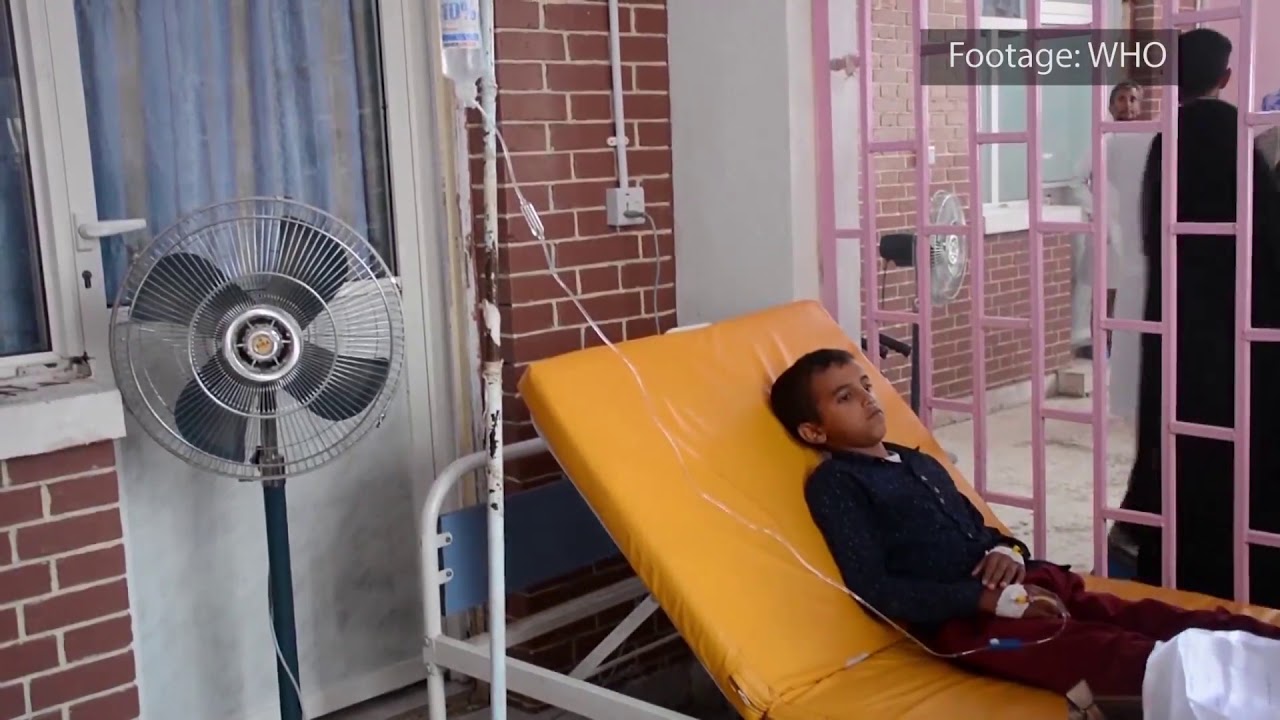 Unacceptable that cholera still affects the developing world, says WHO official