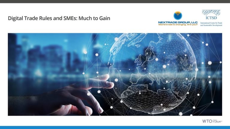 Digital Trade Rules and SMEs: Much to Gain