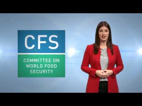 CFS Online Global Strategic Framework (GSF)