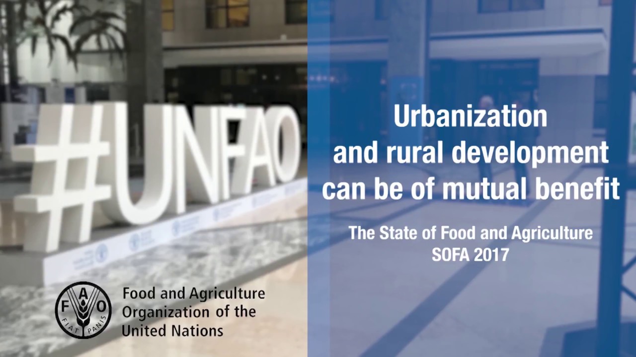 The State of Food and Agriculture – SOFA 2017