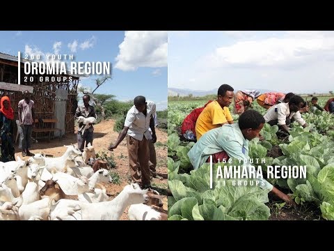 Promoting Alternatives to Migration for Ethiopian Rural Youth