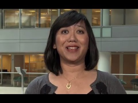 Perkenalkan IMF: Mengatasi pengangguran