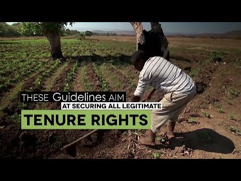 5th Anniversary of the Voluntary Guidelines on Tenure