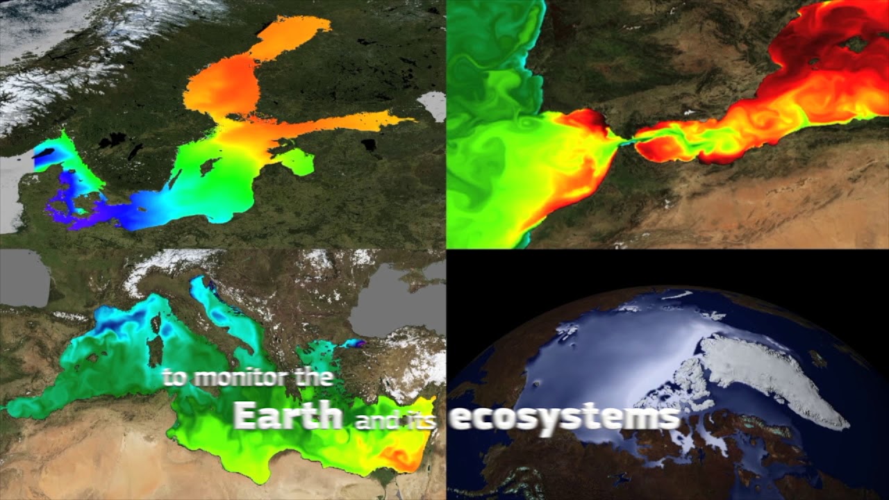 Tracking essential fish habitats for a dynamic fisheries management