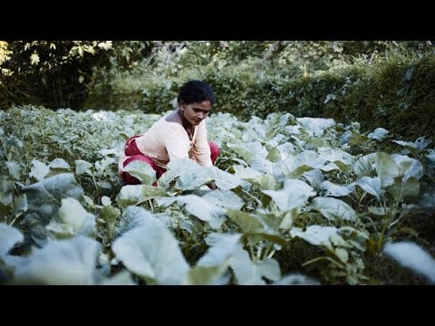 Nepal: Copying with Climate Change, Addressing Migration