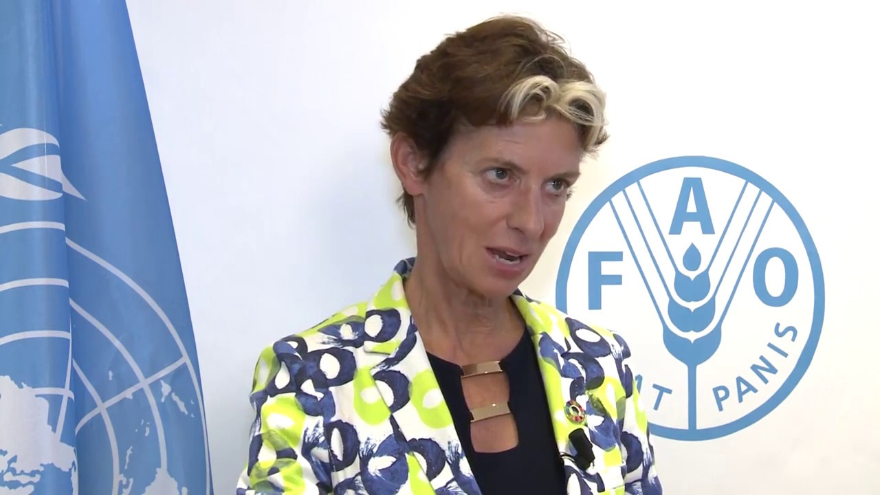 Remarks by Gerda Verburg, Coordinator of the Scaling Up Nutrition (SUN)…